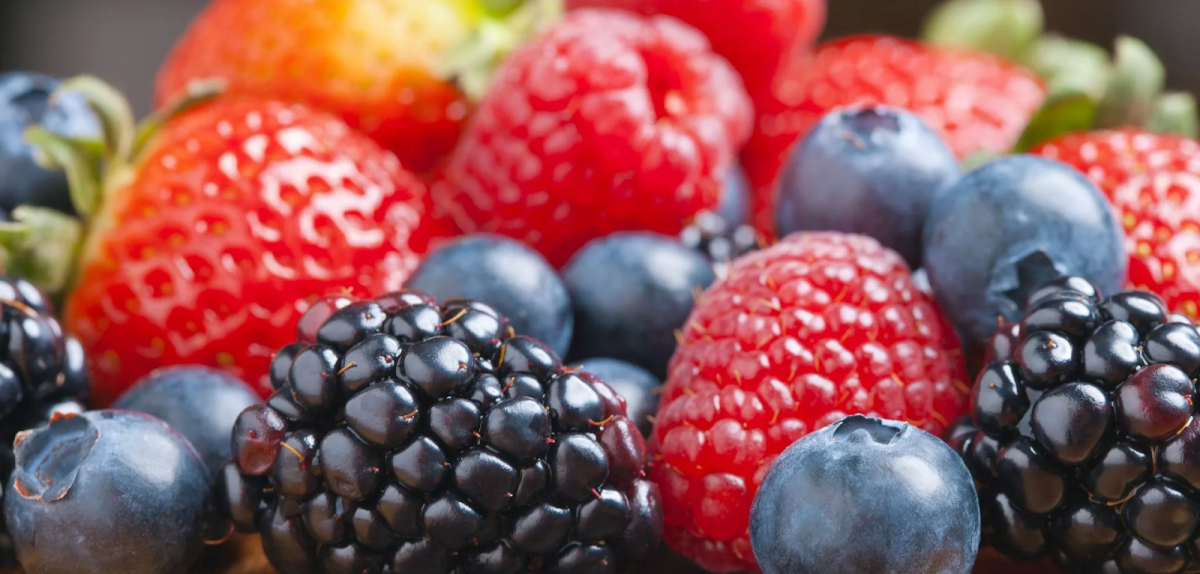 Львівька область нарощує обсяги виробництва плодів та ягід